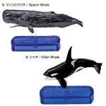 動物保護団体 「日本は捕鯨費用に年間１０億円の税金を使っている」 に対する海外の反応