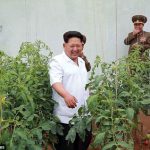 【朗報】北朝鮮がエイズ特効薬を開発！！！海外の反応「デブの頭を治す方が先だろ」