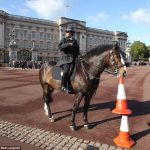 観光客の人気者になった警察馬！バッキンガム宮殿の周りにパイロンを並べるマーリンくん