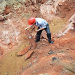 中国で世界最大級の恐竜の卵の化石群が発見されたことに対する海外の反応