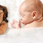赤ちゃんとペットって良いの？
