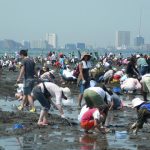 日本で潮干狩りが大流行していることに対する海外の反応