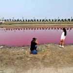 今、中国の湖がとんでもないことになっていることが判明！！！海外の反応「中国では珍しくも無い光景だわ」