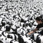 世界を旅する１，６００匹のパンダ！！！ 今は韓国にいるらしい。海外の反応「パンダ＝世界大使」