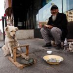 犬と一緒に物乞いするホームレスの老人