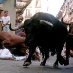 スペインの牛追いで、また流血の惨事。