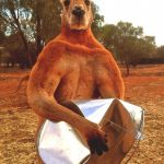 オーストラリアの人気巨大カンガルーのロジャー君、今度は金属のバケツをボコボコにして、観光客をビビらせる！海外の反応「ストレスが貯まっているんだろう、メスを紹介してやれよ」