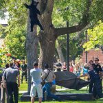 大学の木の上にクマが！！！海外の反応「見事な飛び降り方だ」