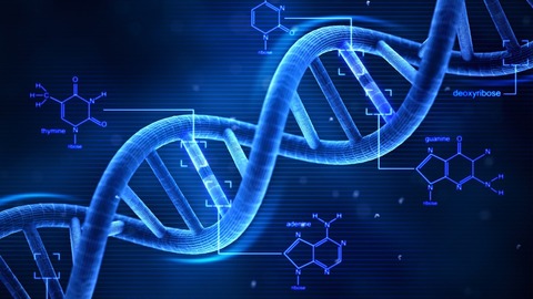 dna-structure