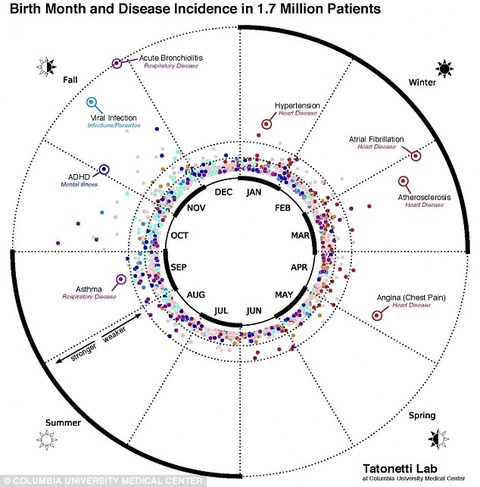 誕生月と病気の関係マップ