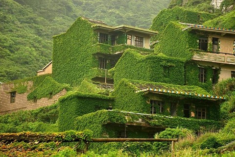 緑の家3