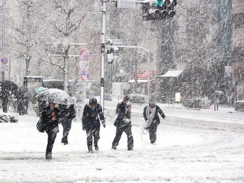 snowintokyo