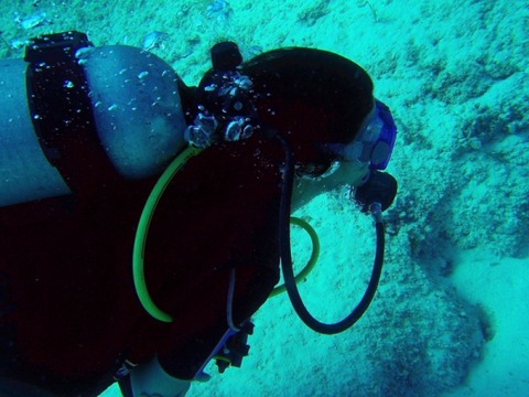 scuba-diving