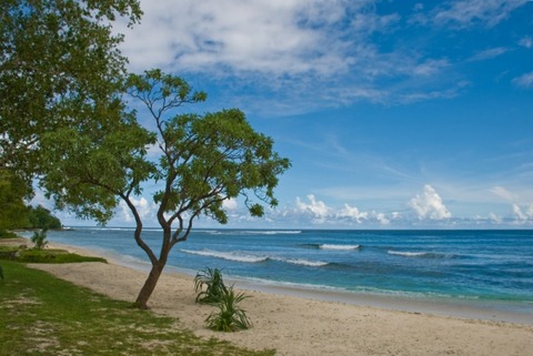 eratap-efate-vanuatu